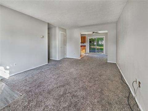 9875 Bright Dr, Windham, OH 44288 photo 20