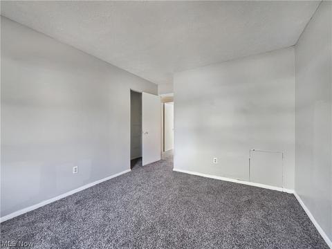 9875 Bright Dr, Windham, OH 44288 photo 8
