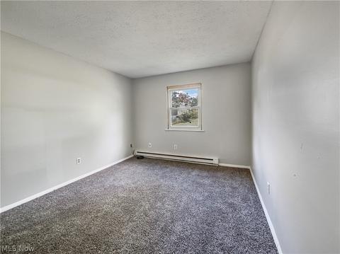9875 Bright Dr, Windham, OH 44288 photo 10