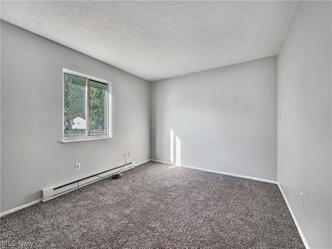 9875 Bright Dr, Windham, OH 44288 photo 24
