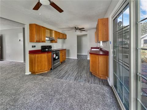 9875 Bright Dr, Windham, OH 44288 photo 17