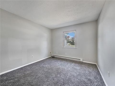 9875 Bright Dr, Windham, OH 44288 photo 14