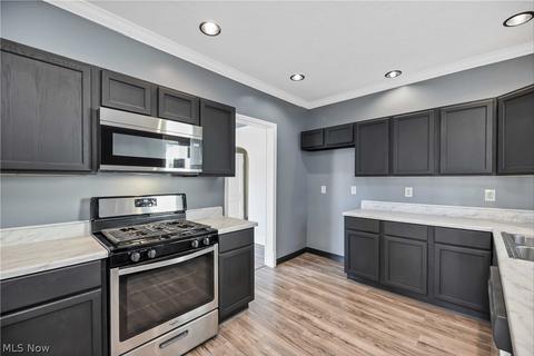 246 Eastern Heights Blvd, Elyria, OH 44035 photo 18