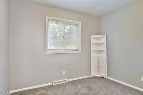 4402 State Route 7, Burghill, OH 44404 photo 23
