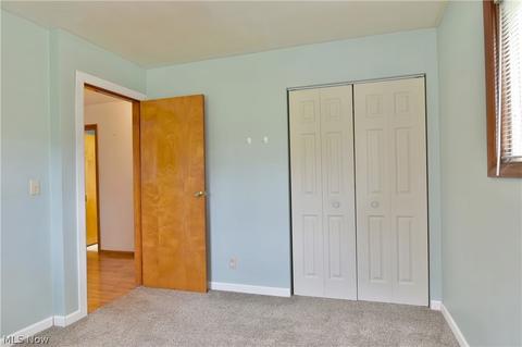 4402 State Route 7, Burghill, OH 44404 photo 27