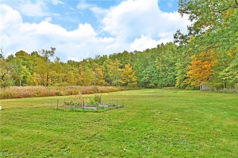4402 State Route 7, Burghill, OH 44404 photo 6