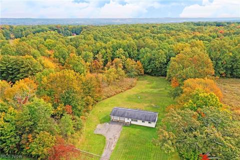 4402 State Route 7, Burghill, OH 44404 photo 5