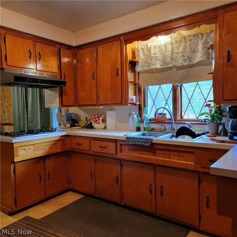 174 Fifield Ave, Conneaut, OH 44030 photo 13