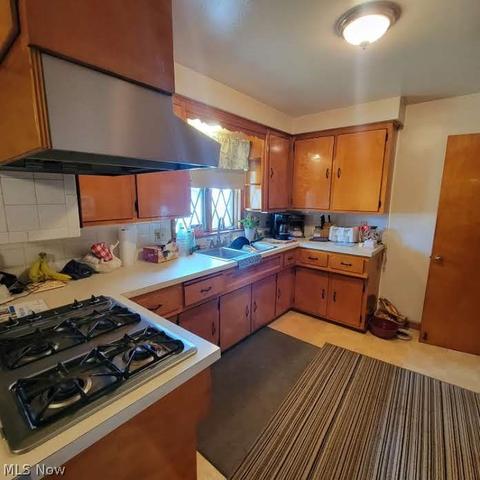 174 Fifield Ave, Conneaut, OH 44030 photo 12