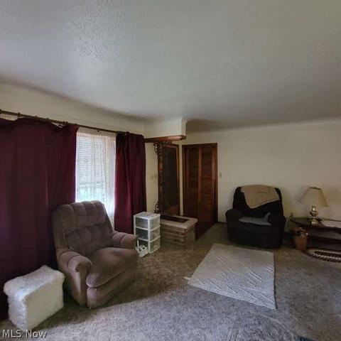 174 Fifield Ave, Conneaut, OH 44030 photo 11