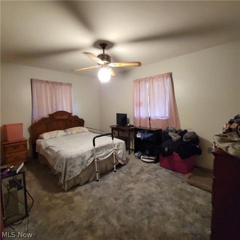 174 Fifield Ave, Conneaut, OH 44030 photo 18