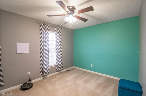4283 Pletzer Blvd, Rootstown, OH 44272 photo 36