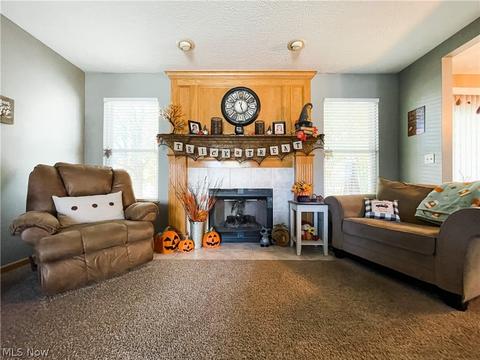 396 Treeview Dr, Wadsworth, OH 44281 photo 15