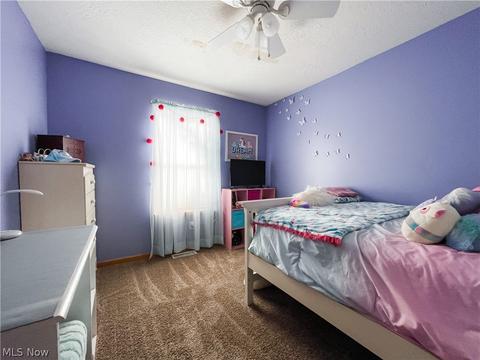 396 Treeview Dr, Wadsworth, OH 44281 photo 27