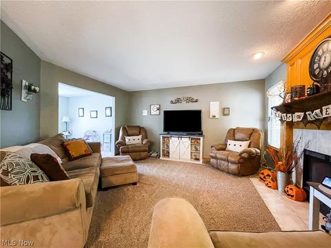 396 Treeview Dr, Wadsworth, OH 44281 photo 14