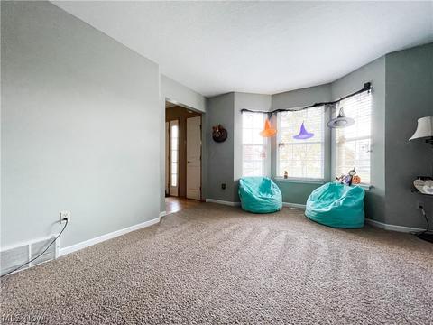 396 Treeview Dr, Wadsworth, OH 44281 photo 17