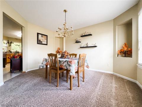 396 Treeview Dr, Wadsworth, OH 44281 photo 19