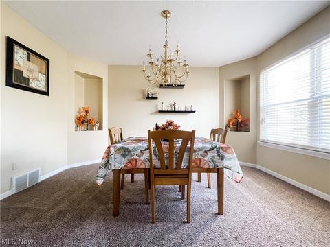 396 Treeview Dr, Wadsworth, OH 44281 photo 18