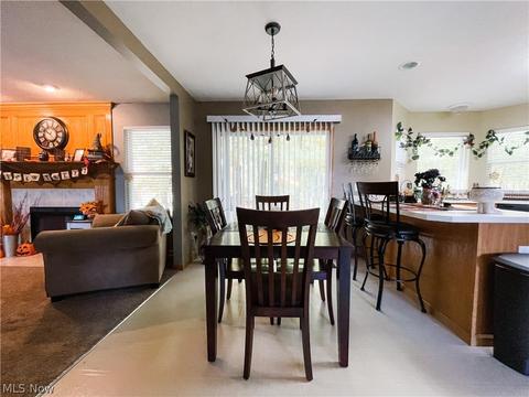 396 Treeview Dr, Wadsworth, OH 44281 photo 11