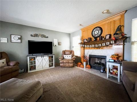 396 Treeview Dr, Wadsworth, OH 44281 photo 13