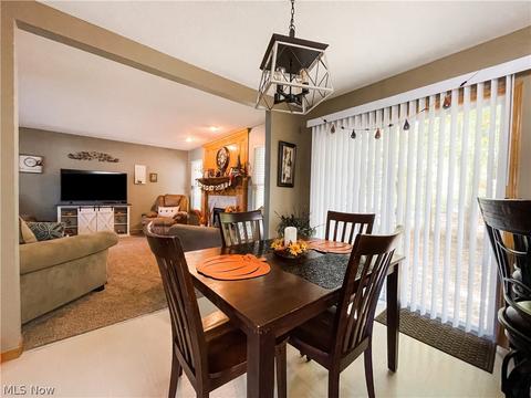 396 Treeview Dr, Wadsworth, OH 44281 photo 12