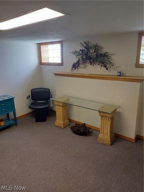 949 N Ridge Rd S, Lorain, OH 44055 photo 28