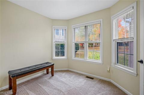 334 High St, Wadsworth, OH 44281 photo 4