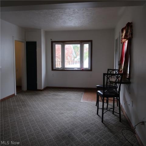 1919 E 44th St, Ashtabula, OH 44004 photo 19