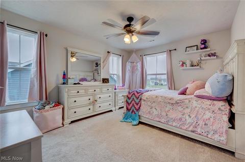 612 U S Grant St, Lagrange, OH 44050 photo 15