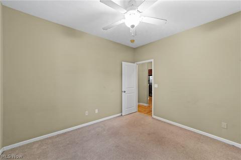 823 Robinson Dr, Lagrange, OH 44050 photo 24