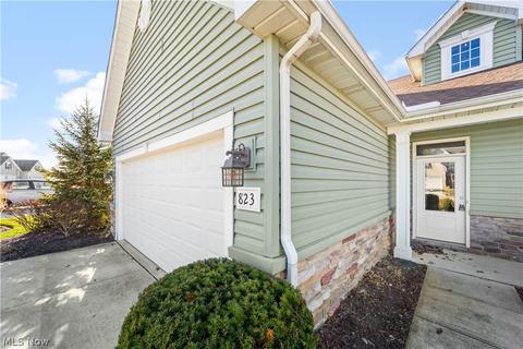 823 Robinson Dr, Lagrange, OH 44050 photo 27