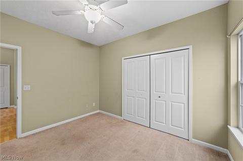 823 Robinson Dr, Lagrange, OH 44050 photo 23