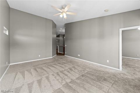 827 Robinson Dr, Lagrange, OH 44050 photo 5