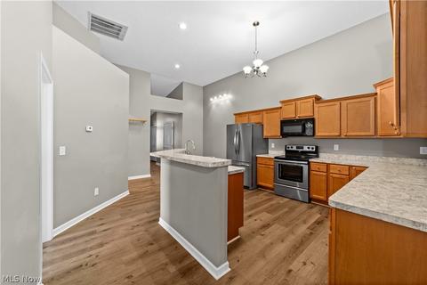 827 Robinson Dr, Lagrange, OH 44050 photo 10