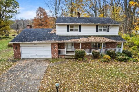 42841 Dellefield Rd, Elyria, OH 44035 photo 1