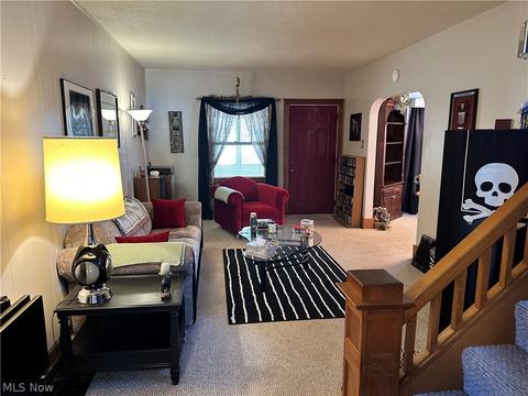 19 W Lowell Ave, Akron, OH 44310 photo 22