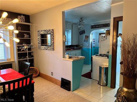 19 W Lowell Ave, Akron, OH 44310 photo 35