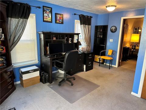 19 W Lowell Ave, Akron, OH 44310 photo 26