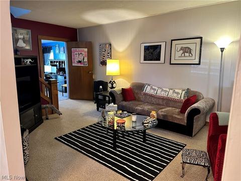 19 W Lowell Ave, Akron, OH 44310 photo 10