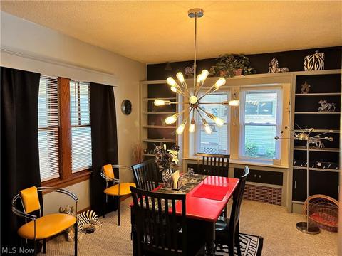 19 W Lowell Ave, Akron, OH 44310 photo 8