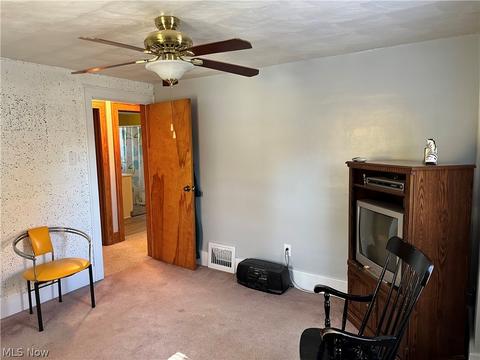 19 W Lowell Ave, Akron, OH 44310 photo 21