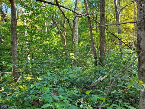 610 Upper Douda Rd, Malta, OH 43758 photo 11
