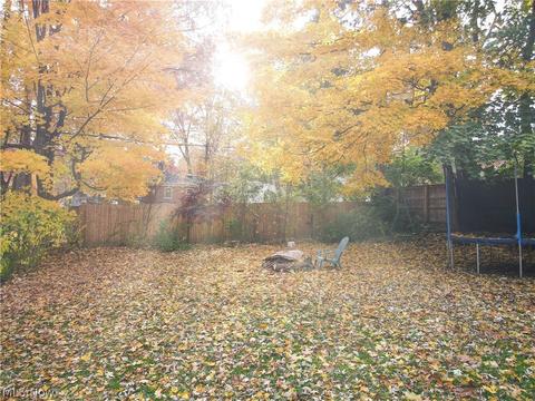 654 Ecton Rd, Akron, OH 44303 photo 28