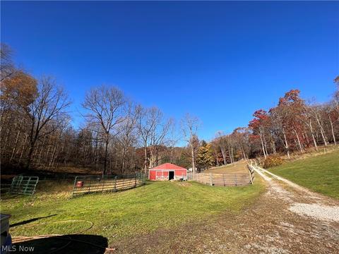 36965 Morrow Rd, Scio, OH 43988 photo 23