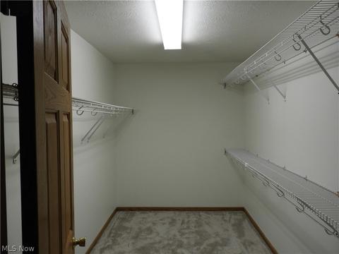 41241 Webster Rd, Lagrange, OH 44050 photo 24