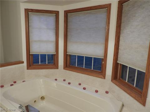41241 Webster Rd, Lagrange, OH 44050 photo 25