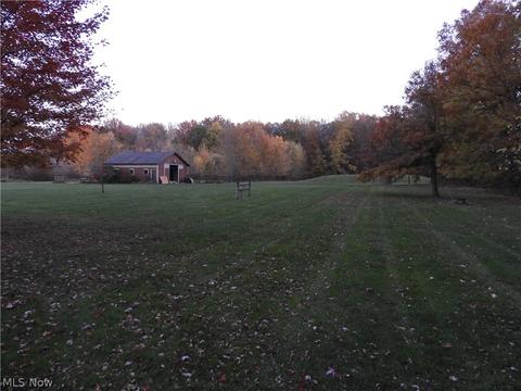 41241 Webster Rd, Lagrange, OH 44050 photo 6