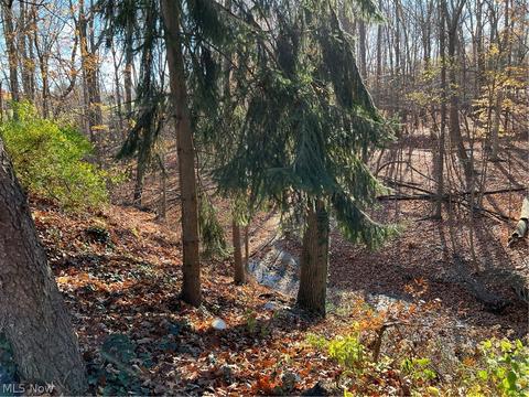 511 Whitman Blvd, Elyria, OH 44035 photo 4