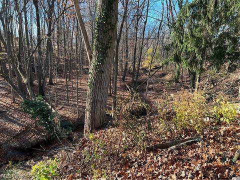 511 Whitman Blvd, Elyria, OH 44035 photo 6