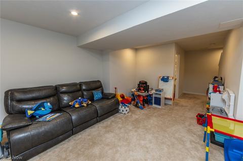 519 Riley Ct, Lagrange, OH 44050 photo 30